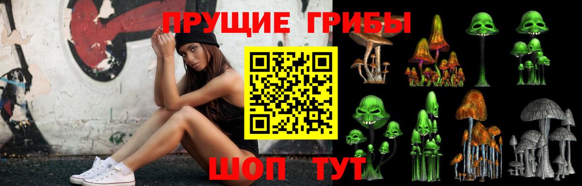 Кировск  Галлюциногенные грибы прущие грибы  Вход с VPN 